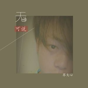无话可说