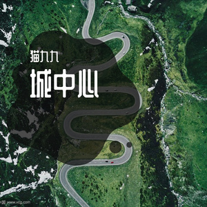 城中心 (7)