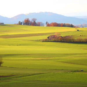 What you are is what you have done