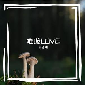 张韶涵-梦里花（王僖潮 remix）