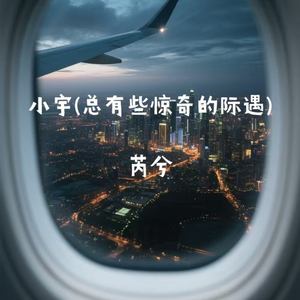小宇 (总有些惊奇的际遇)