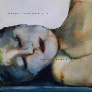 ICANNOT****INGSLEEP, pt. 2