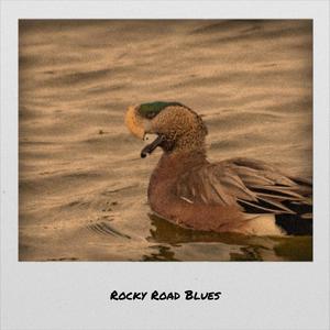 Rocky Road Blues