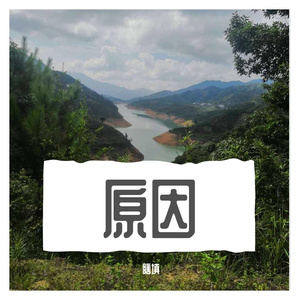 原创 原因