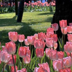 Confessions (feat. Bacuret) (Special Version)