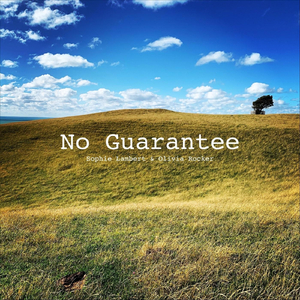 No Guarantee