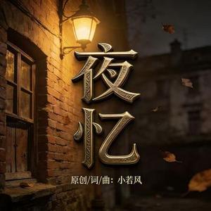 夜忆