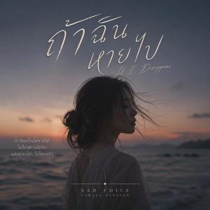 ถ้าฉันหายไป