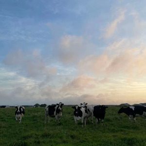 My real (feat. Airhope)