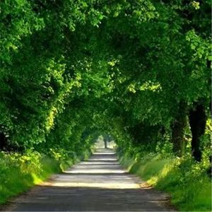 我心中的追逐 终将成功