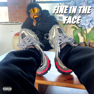 Fine in the Face