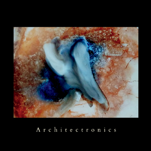 Guitar Construction #3: Hg-Cr-As