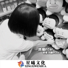 抖音最火热门旋律 (DJ版)