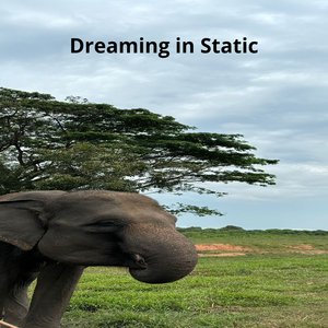 Dreaming in Static