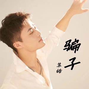 骗子 (DJ阿能版)