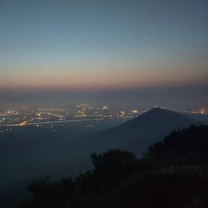 蒙娜丽莎的眼泪