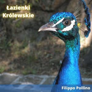Łazienki Królewskie (Acoustic version)