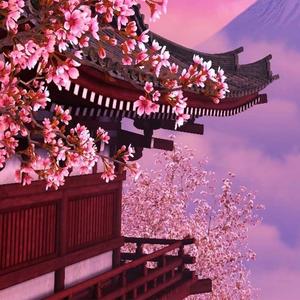 Sakura (feat. theluhkofficial)