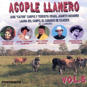 Carnavales en Mi Tierra