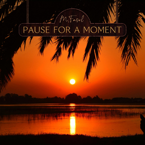 Pause for a Moment