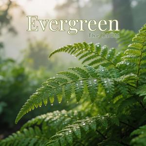 Evergreen