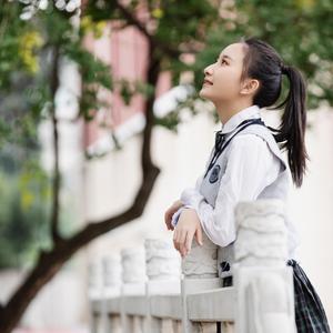 穿过杏叶的风(校园特别版)