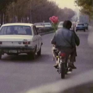 抹茶关东煮和猫还有你