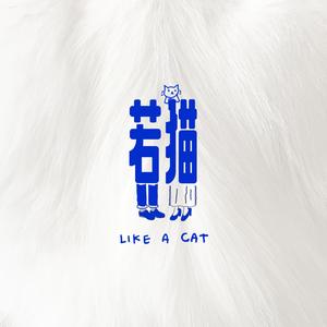 若猫