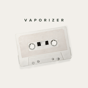 Vaporizer