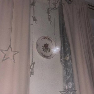 электрособака