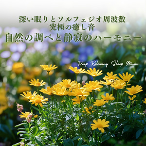 雨上がりの響き