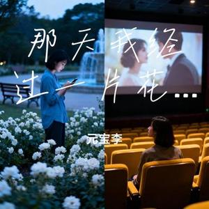 那天我经过一片花园 (元宝李 Remix)