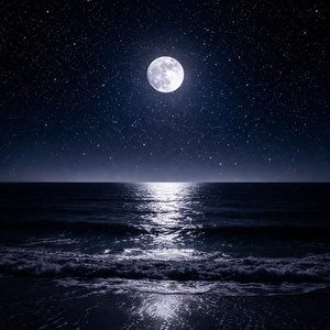 오늘도 밀물 (Tides again today)