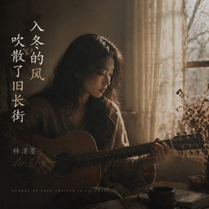 入冬的风吹散了旧长街