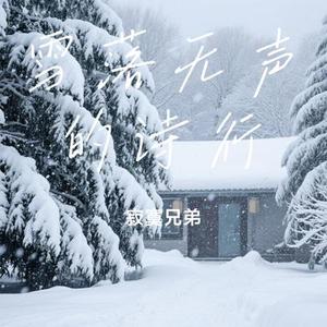 雪落无声的诗行