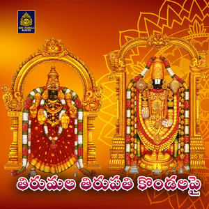 Tirumala Tirupati Kondalapai (Sri Srinivasa Sannidi)