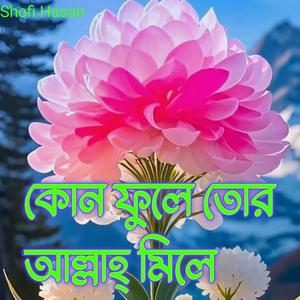 কোন ফুলে তোর আল্লাহ্ মিলে
