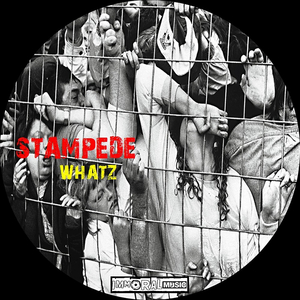 Stampede (Original Mix)