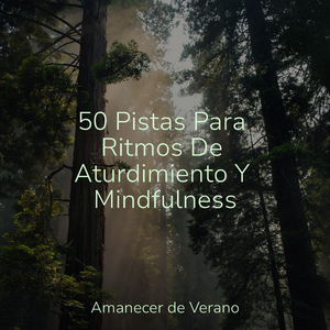 Vuelo de Sueños Aurelianos