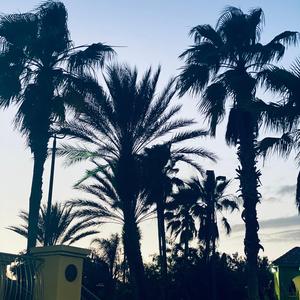 Island Vibes (feat. jayskee Dareelis)