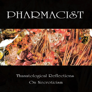 Forensic Civil Assessment