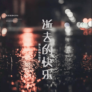 逝去的快乐(遗失的快乐续集版)