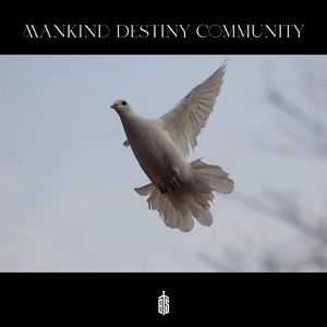 Mankind Destiny Community