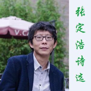 我喜爱一切不彻底的事物（张定浩）