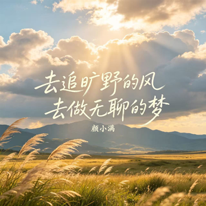 去追旷野的风 去做无聊的梦