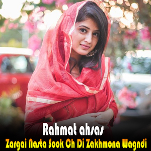Zargai Nasta Sook Ch Di Zakhmona Wagndi