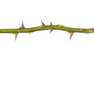 20220719_162309_20220719_162642