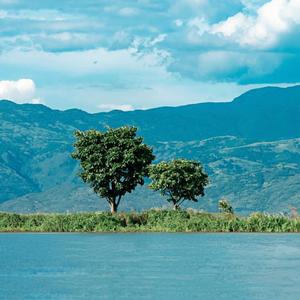 最初的位置（钢琴）