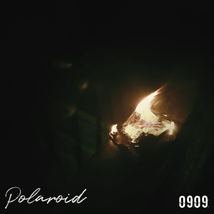 Polaroid
