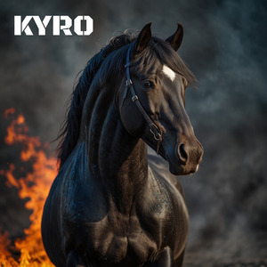 KYRO